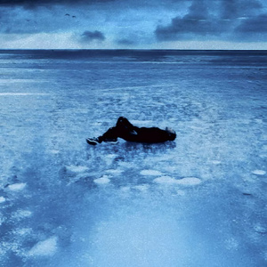 日本h在线亚洲网站在线观看
